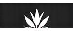 Perennial Bloom Holdings Logo - White